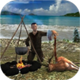 极限冒险挑战3D九游版