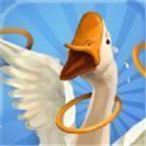 我用圈圈套大鹅