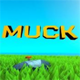 muck