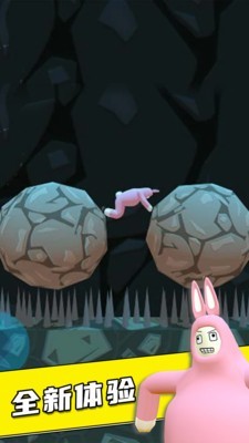 疯狂兔子人双人版
