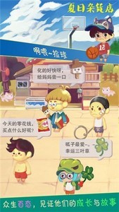 夏日杂货店猫薄荷