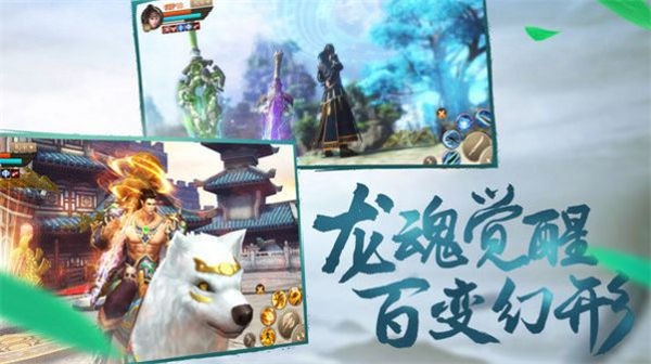 梦入天尊