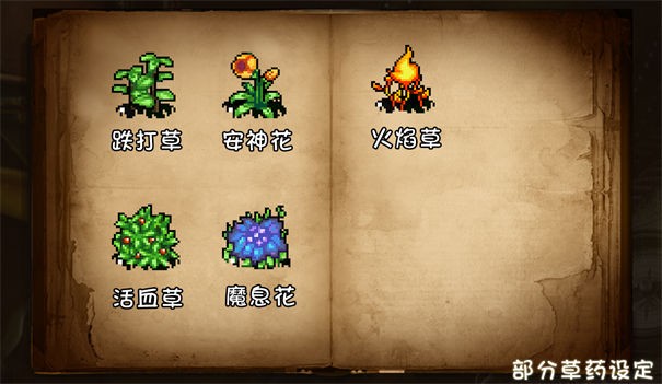 代号代号测试服