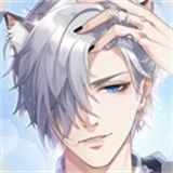 猫之宿约者b服