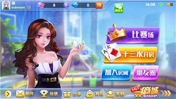 十三水棋牌电玩城