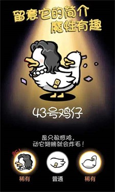 小鸡真奇怪套圈