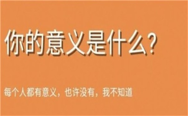 你的意义是什么鬼东西