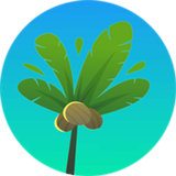 救援椰子