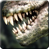 野生之地杜兰戈