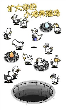 小鸡真奇怪套圈