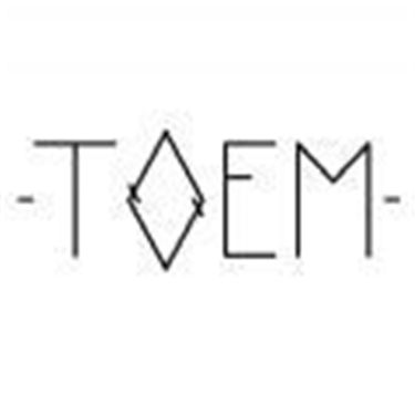 toem手机版