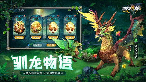 遇见龙九游版