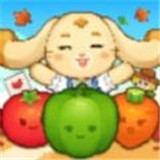 蔬农流行