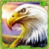 猎鹰模拟器