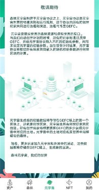 数字生态森林