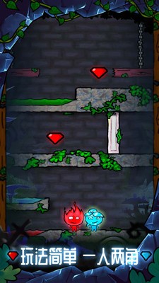 森林冰火人勇闯森林神庙