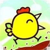 超级飞鸟快乐小鸡