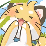 猫猫我最萌