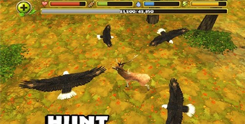 猎鹰模拟器