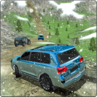 普拉多停车驾驶