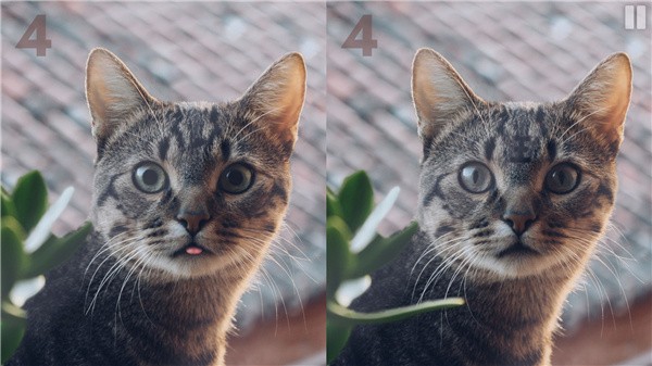 慧眼寻异