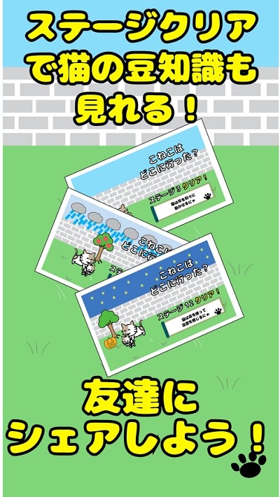 我的小猫在哪里