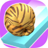 协助小猫