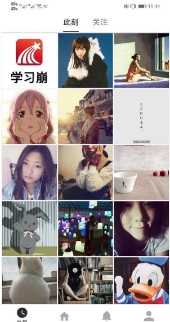 奇猫日记