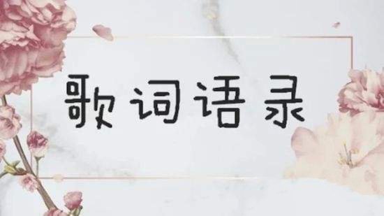 语录控