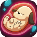 狗生翻译器app安卓版