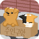 我有猫了