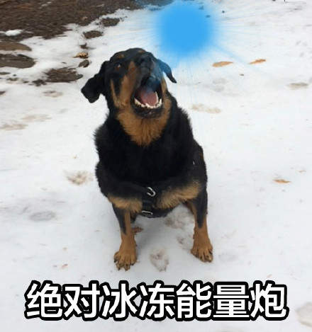 口吐芬芳表情包