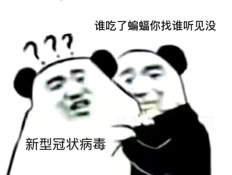 新型冠状病毒你听见没表情包
