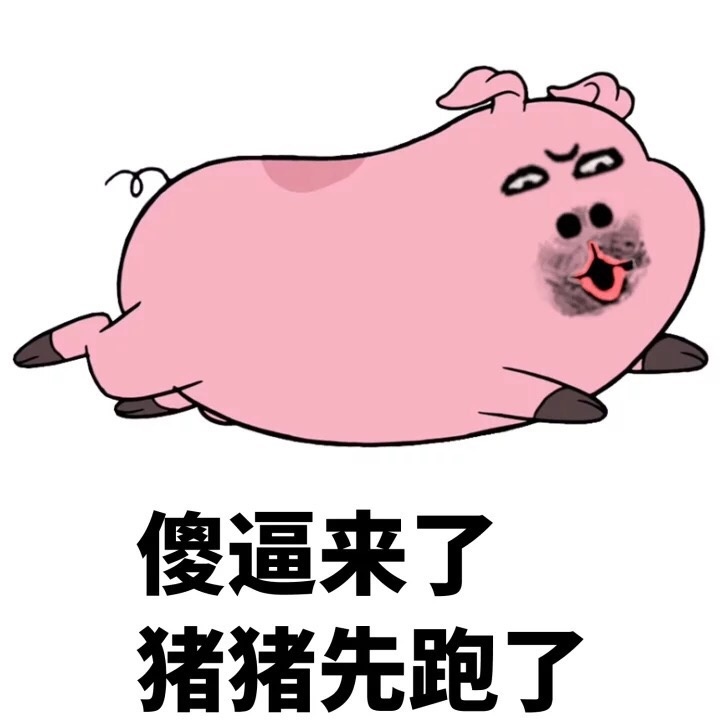爱情公寓5猪猪公寓表情包