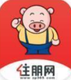 住朋网