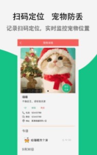 宠夫子