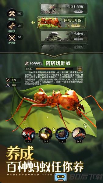 小小蚁国手游下载