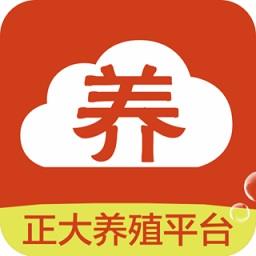正大猪博士最新版