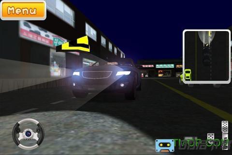 驾校达人3D游戏汉化版