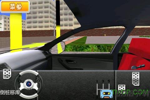 驾校达人3D游戏汉化版