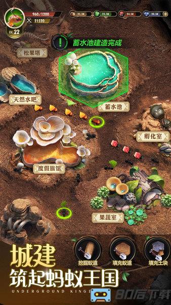 小小蚁国台服游戏