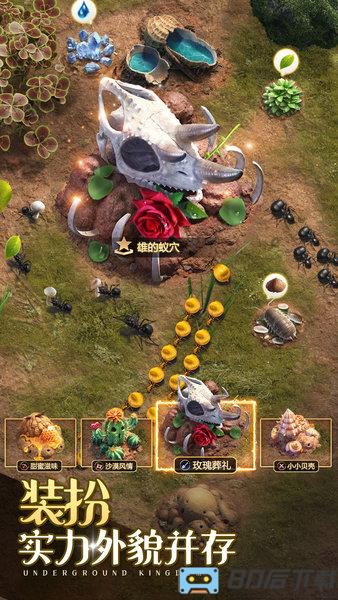 小小蚁国九游客户端