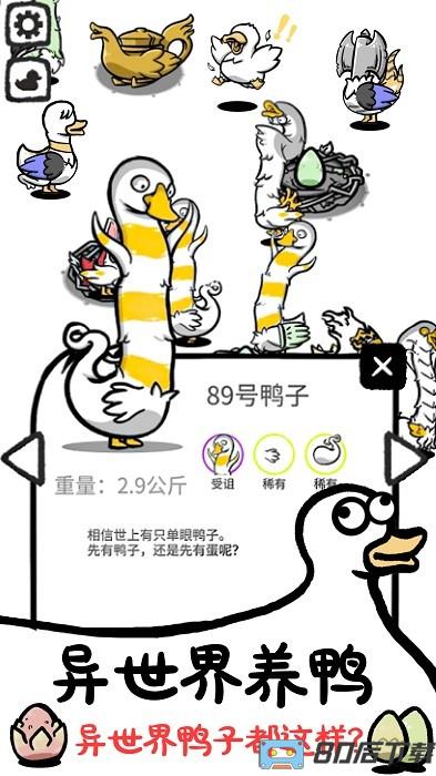 神奇的鸭子游戏
