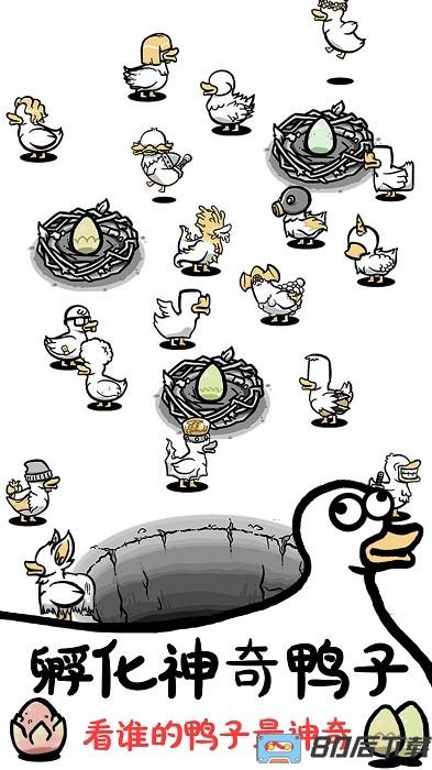 神奇的鸭子游戏