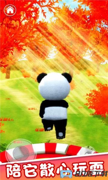 会说话的熊猫游戏