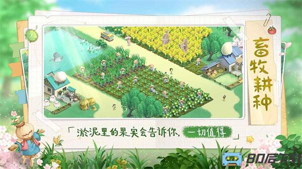 向往的生活官方正版