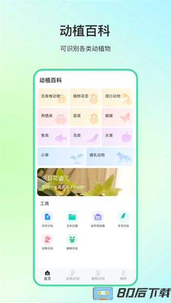 动物百科