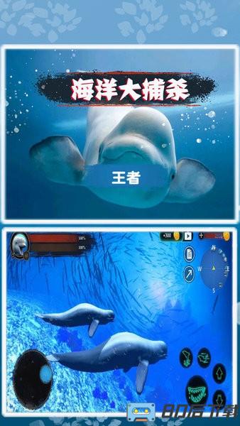 海洋大捕杀游戏