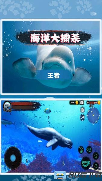 海洋大捕杀游戏