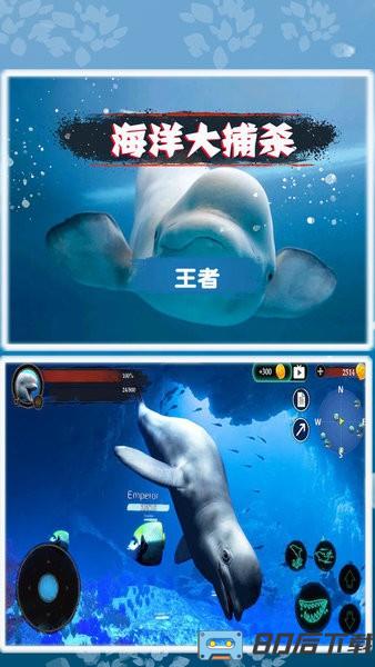 海洋大捕杀游戏